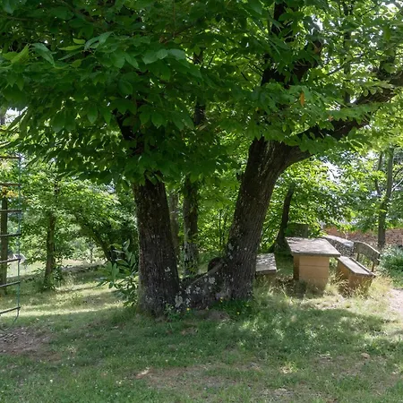 Maisons Cozy - Mas Lachamp * Gravieres