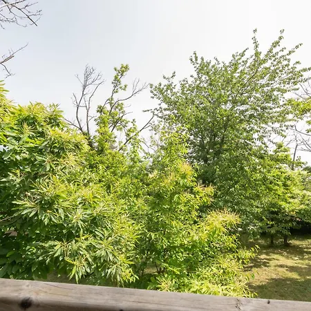 Maisons Cozy - Mas Lachamp Gravieres